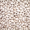 White haricot beans Royalty Free Stock Photo