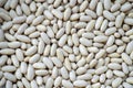 White haricot beans background Royalty Free Stock Photo