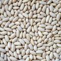White haricot beans background Royalty Free Stock Photo