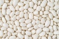 White haricot beans background. Legumes, top view Royalty Free Stock Photo