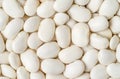 White haricot beans background. Legumes, top view Royalty Free Stock Photo