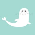 White harp seal pup lying on iceberg ice. Sea lion. Cute cartoon character. Happy baby animal collection. Sea ocean water. Blue ba