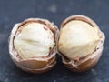 White Hazelnuts cores