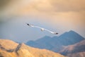 White Head Sea Gull Flying among mountains Royalty Free Stock Photo