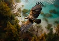 White-headed eagle soaring in the air. Blue lake and green forest at backdrop. Generative AI Royalty Free Stock Photo