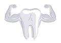 White healthy tooth with strength muscular hands concept isolated vector illustration, strong teeth.