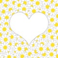 White heart on the background of many daisies