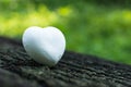 White Heart on nature Royalty Free Stock Photo