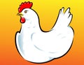 White Hen Vector Illustration Royalty Free Stock Photo