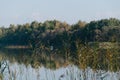 A white heron wader hern is flying above the lake