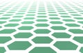 White Hexagon mesh in perspective over emerald background