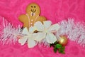 Pink Christmas background happy gingerbread man white hibiscus flowers and white tinsle Royalty Free Stock Photo