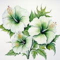 White Hibiscus Flowers: A Watercolor Sketch In The Style Of Optical Illusion Paintings