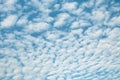 White high heaped clouds background Royalty Free Stock Photo