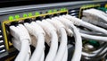 White high speed network cables connected to the cloud network servers equipment switch inside modern big data center Royalty Free Stock Photo