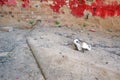 White High Women's shoes in sand