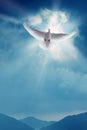 White Holy Dove Flying in Blue Sky Vertical Image
