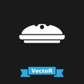 White Homemade pie icon isolated on black background. Vector