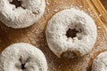 White Homemade Powdered Donuts Royalty Free Stock Photo