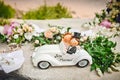 White.honeymoon car with flower. pedal car, wedding decoration. Wedding concept Royalty Free Stock Photo