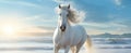 white horse on the beach, AI generated Royalty Free Stock Photo