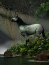White Horse in the Forest Royalty Free Stock Photo