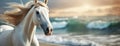 A white horse with a blonde mane stands on a sunny beach. The elegant equine stands on the sand, its mane Royalty Free Stock Photo
