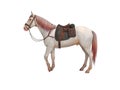 White horse with bridle left view 3d render on white background no shadow