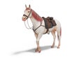 White horse with bridle with red mane and tail 3d render on white background with shadow Royalty Free Stock Photo