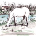 White horse from Camargue in the south of France grazes near a pond, graphic watercolor drawing, travel sketch Royalty Free Stock Photo