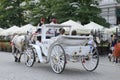 White horse carriage in Krakow Royalty Free Stock Photo