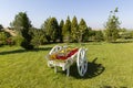 White horse carriage made of wood, placed in the garden for ornamental purposes full of flowers Royalty Free Stock Photo