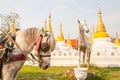 A white horse carriage standing in front of the white horse statue Royalty Free Stock Photo