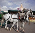 White horse carriage in the Yamaa el Fna Square, Marrakech, Morocco Royalty Free Stock Photo