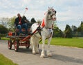 White Horse and cart