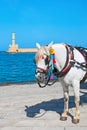 The white horse in Chania harbor, Crete, Greece