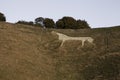 The white horse of cherhill close to avebury Royalty Free Stock Photo