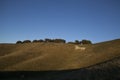 The white horse of cherhill close to avebury Royalty Free Stock Photo