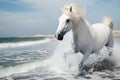 white horse with flowing mane splashing through beachside surf Royalty Free Stock Photo