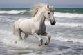 white horse with flowing mane splashing through beachside surf Royalty Free Stock Photo