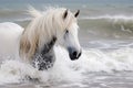 white horse with flowing mane splashing through beachside surf Royalty Free Stock Photo