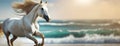 White horse galloping along the seashore with waves in the background. Panorama with copy space. Royalty Free Stock Photo