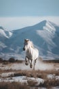 White horse galloping in the desert. Beautiful landscape with horses in the mountains. Royalty Free Stock Photo