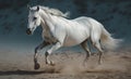 White horse galloping in the desert. Illustration AI Generative Royalty Free Stock Photo