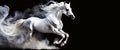White Horse Galloping Fast on Black Background - Generative Ai Royalty Free Stock Photo