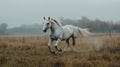 Majestic White Horse Galloping in Foggy Meadow, Freedom and Nature Concept Royalty Free Stock Photo
