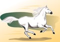 White horse galloping in the wind.