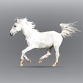 White horse on a gray background. illustration