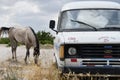 White horse grazing next to an old Ford Transit in the countryside in Cappadocia, Turkey