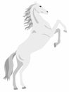 White horse on its hind legs. Vector graphics